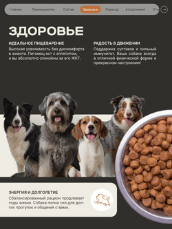 Корм сухой для пожилых собак породы Кане-корсо старше 5 лет, с индейкой, 12 кг, QUATTRO