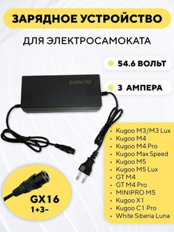 Зарядное устройство для электросамоката Kugoo M5, M4 Pro, Max Speed, X1 (48V 3A)