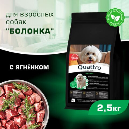 Корм сухой для взрослых собак породы Болонка, с ягненком, 2,5 кг, QUATTRO