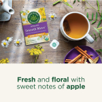 Traditional Medicinals, Organic Smooth Move®, сенна и ромашка, без кофеина, 16 упакованных чайных пакетиков, 32 г (1,13 унции)
