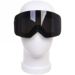 Очки горнолыжные HX16 черная оправа/черная линза