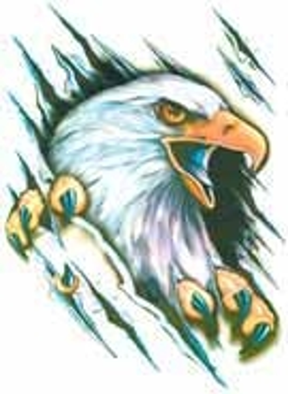 Наклейка "Орел" (разрез)наружная полноцветная 50*35см  03595