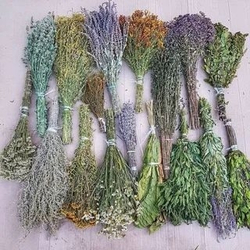 Набор трав для бани 5 шт