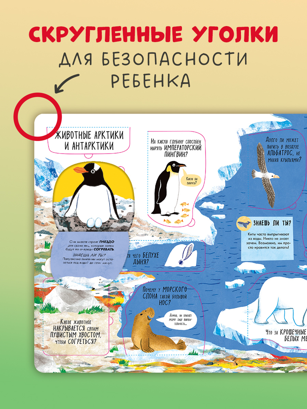 Большая книга с окошками. Животные