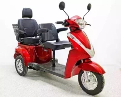 Электротрицикл GreenCamel Пони L650 (48V 650W) кресло, дифф
