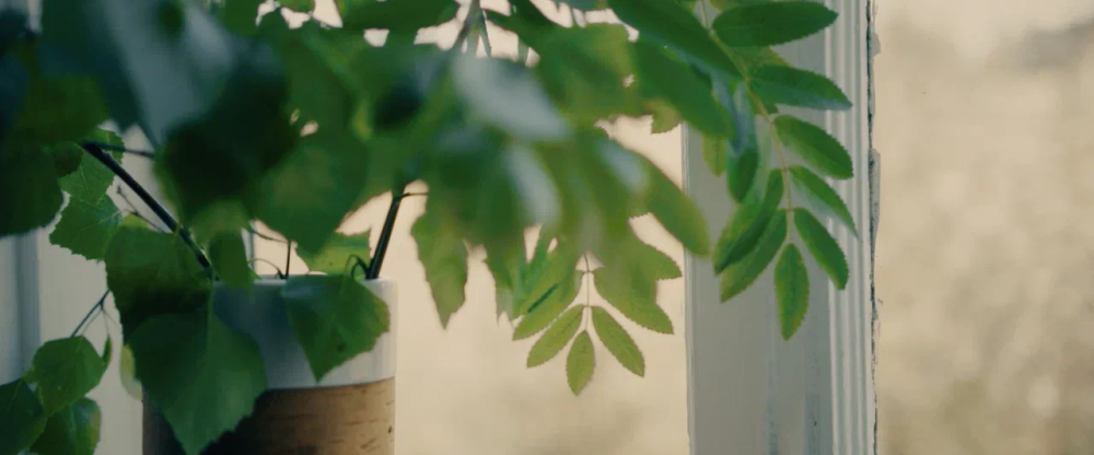 Кружка малая фарфоровая без ручки с цитатами А.С. Пушкина на бересте. Пушкин - наше всё.