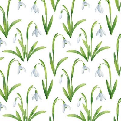 Подснежники 2