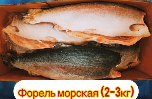 Поступление форели морской!