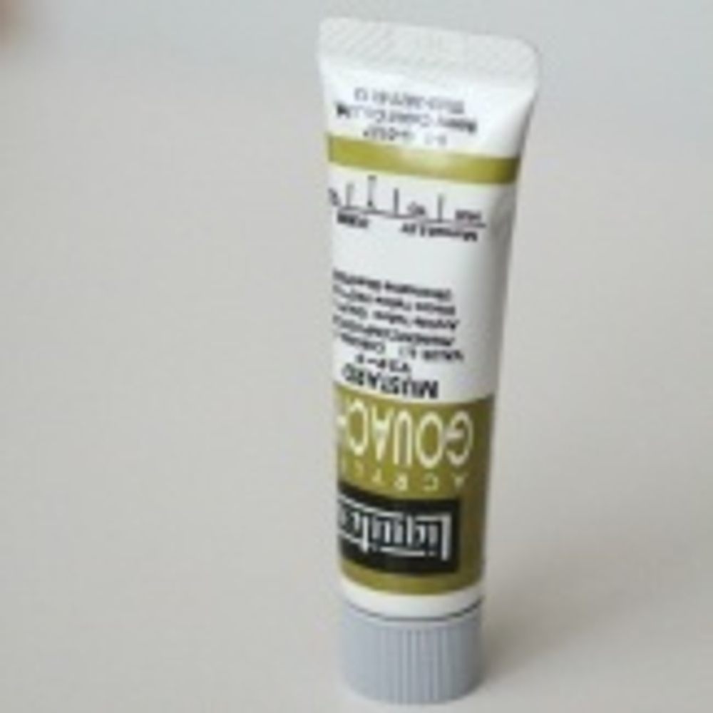 Краска Mustard Liquitex™  (20 мл., акриловая гуашь)