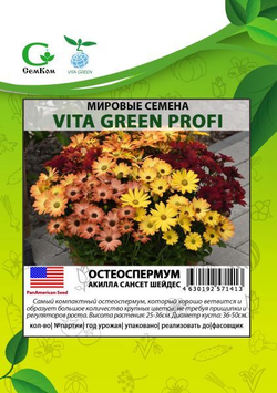 Остеоспермум Акилла Сансет Шейдес (25шт) Витагрин Профи