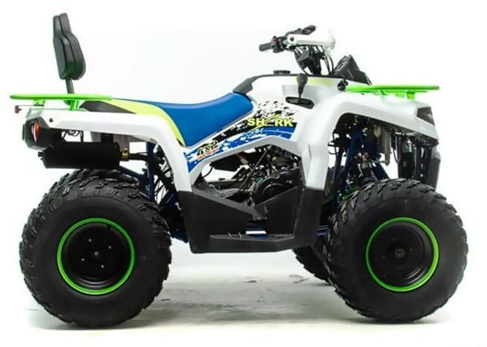 Квадроцикл MOTOLAND 200 Shark (2021 Г.)