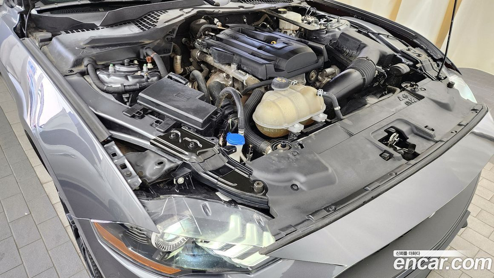 Ford Mustang Coupe (10.2021)