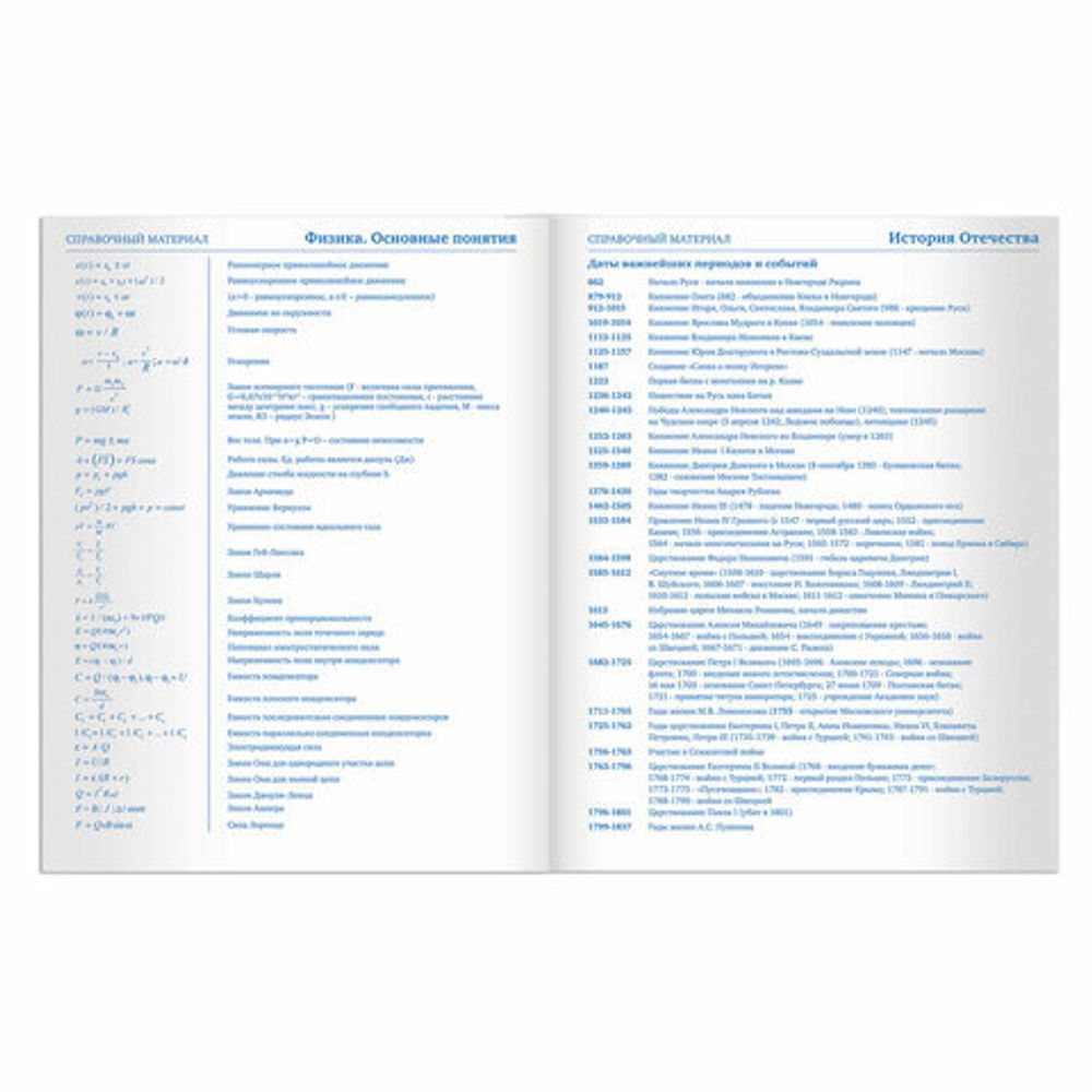 Дневник 5-11 класс 48 л., твердый, BRAUBERG, глянцевая ламинация, с подсказом, "Кот и космос", 105584