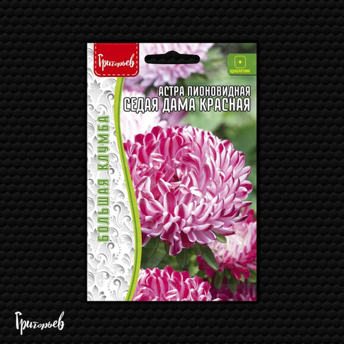 Астра пионовидная Седая дама красная