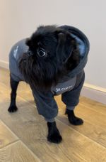 Толстовка с капюшоном с нанесением для собак мелких пород