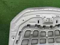 Капот Xpeng P5 (2021-н.в.)