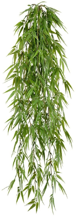 Бамбук ампельный, в-60 см, 75 см, 130 см
