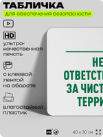 Табличка для обеспечения безопасности "Ответственный за чистоту территории", для офиса, по охране труда для предприятия, организаций, 40х30 см, Silver Plane x Айдентика Технолоджи