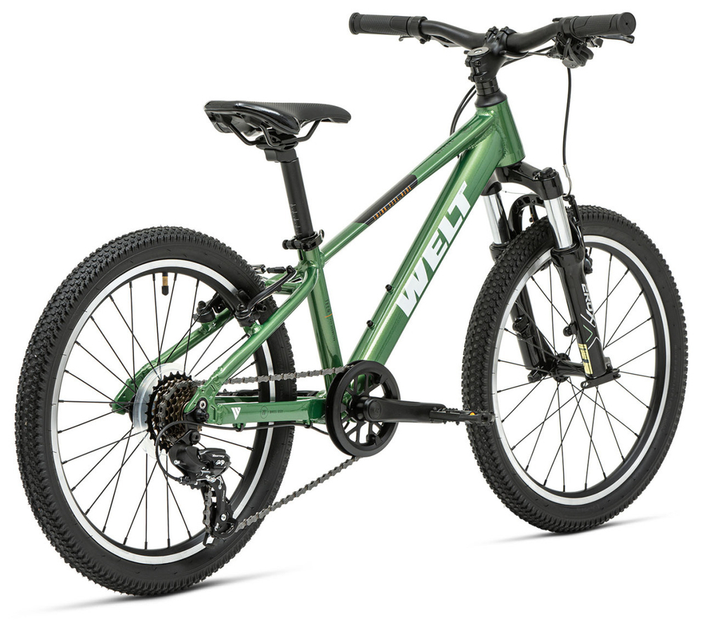 Детский велосипед Welt Brave 1.0 20 V (2025)