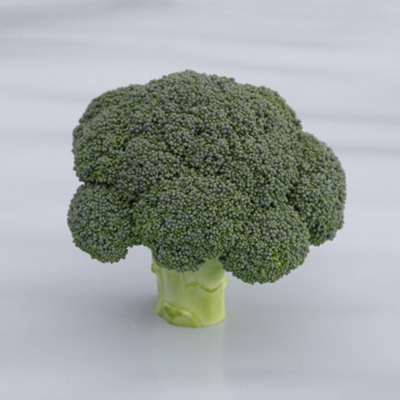 Батори F1 семена капусты брокколи (Syngenta / Сингента)