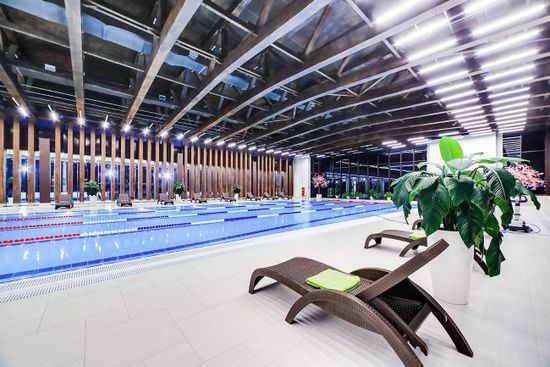 Шезлонг пластиковый GS 1009 (Fiji) коричневый Турция