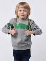 Толстовка для мальчика