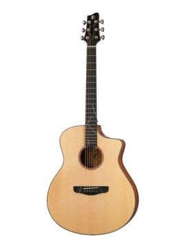 Акустическая гитара IZ 2101-N