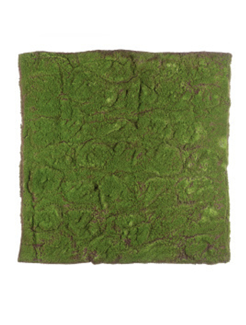 Мох полотно