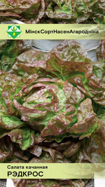 Салат кочанный "Редкросс" 0.5г, Германия.