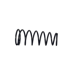 WDK-25310-03 Пружина