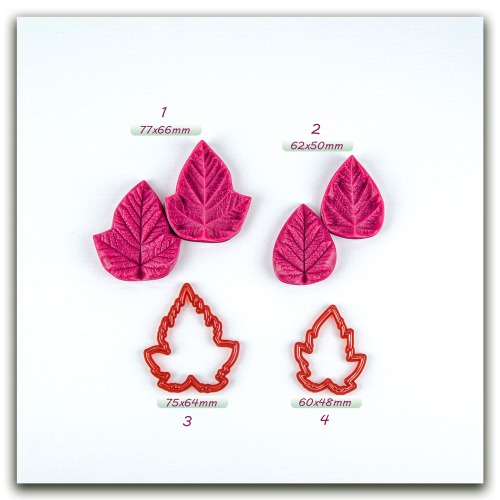 Листья пузыреплодника калинолистного большие