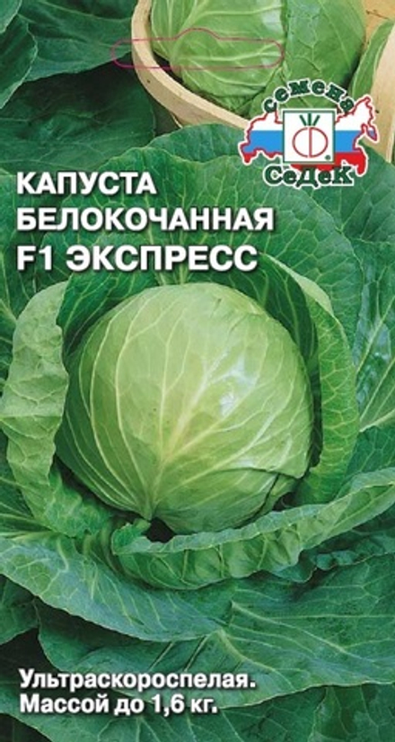 Капуста б/к Экспресс Седек