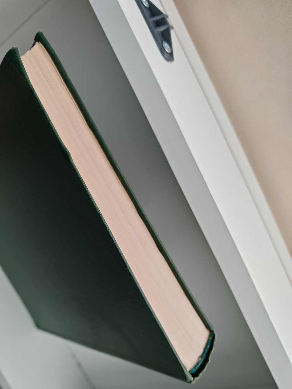 Детская энциклопедия. Том 4. Растения и животные