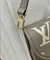 Сумка Louis Vuitton Diane серый
