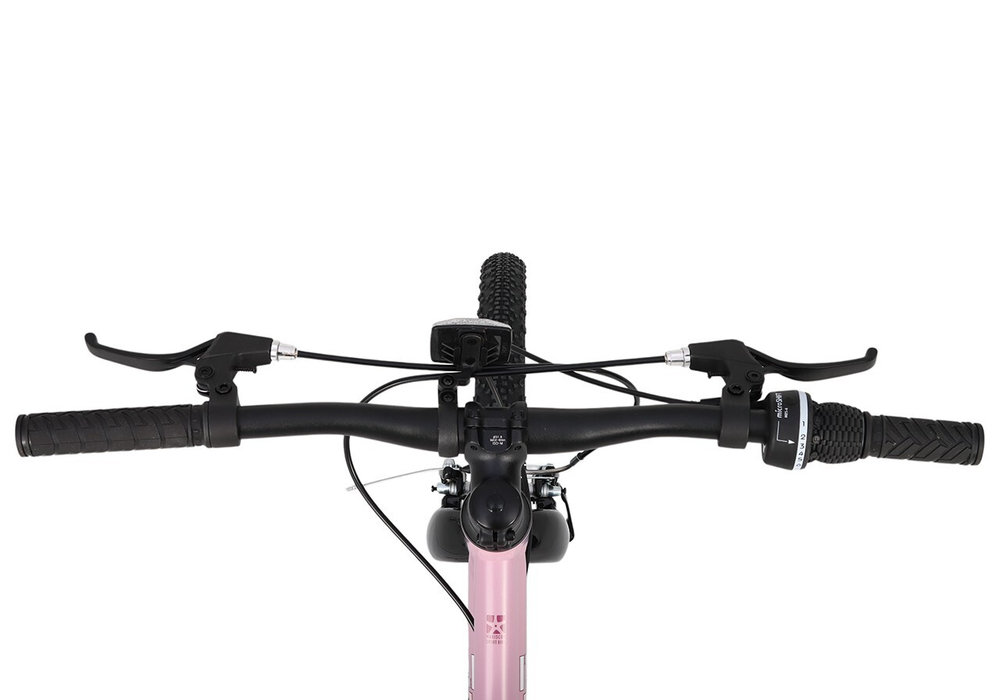Maxiscoo 3BIKE 24'' L (2025)