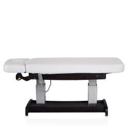 Электрический массажный стол Mizomed Union Salon стационарный