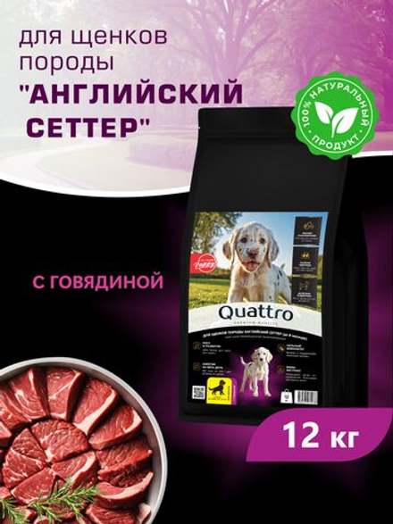 Корм сухой для щенков породы Английский сеттер, с говядиной, 12 кг, QUATTRO