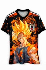 Футболка футбольная сборной Японии 2024/2025