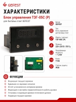 Блок управления ТЭГ-05С (Р)