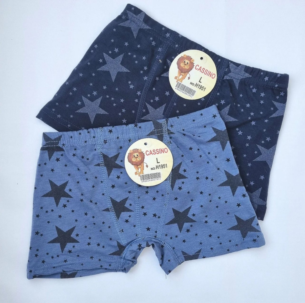 Детские Боксеры Н1951