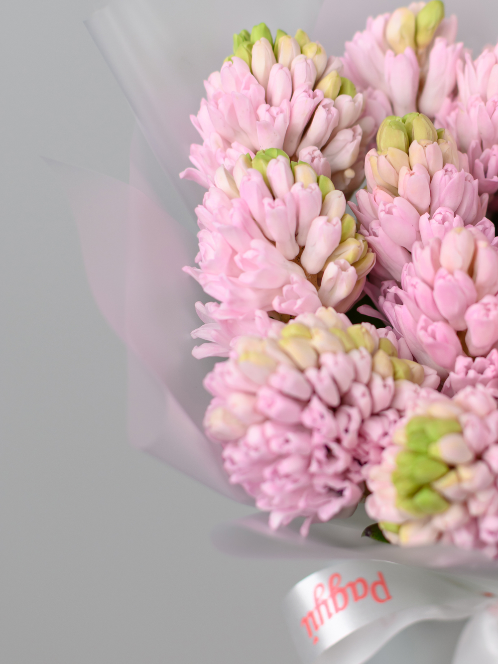 Монобукет из Гиацинтов