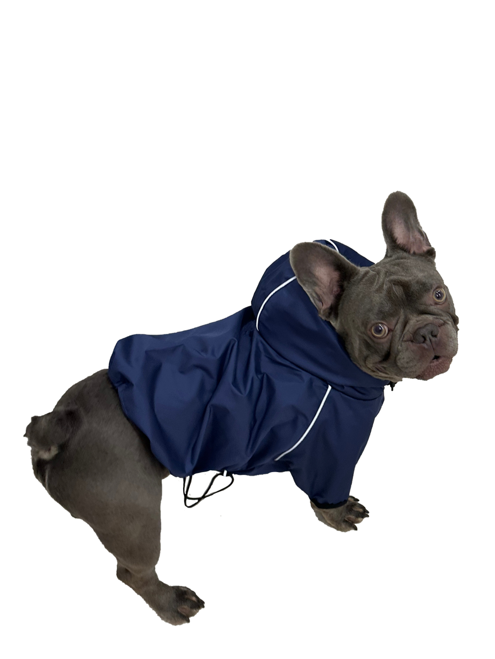 Универсальная куртка дождевик для собак Монморанси, цвет олива, размер L