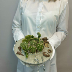 «Эхо города» композиция из кактусов в бетоне