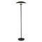 Торшер ST Luce ARMONICO SL6502.405.01