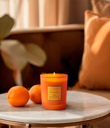 Mandarin and Yuzu, свеча Duos Parfumes collection, Collines de Рrovencе