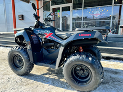 Квадроцикл Loncin Xwolf 200