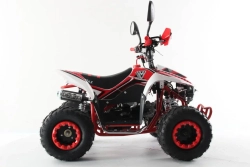 Квадроцикл MOTAX MIKRO 110 NEW