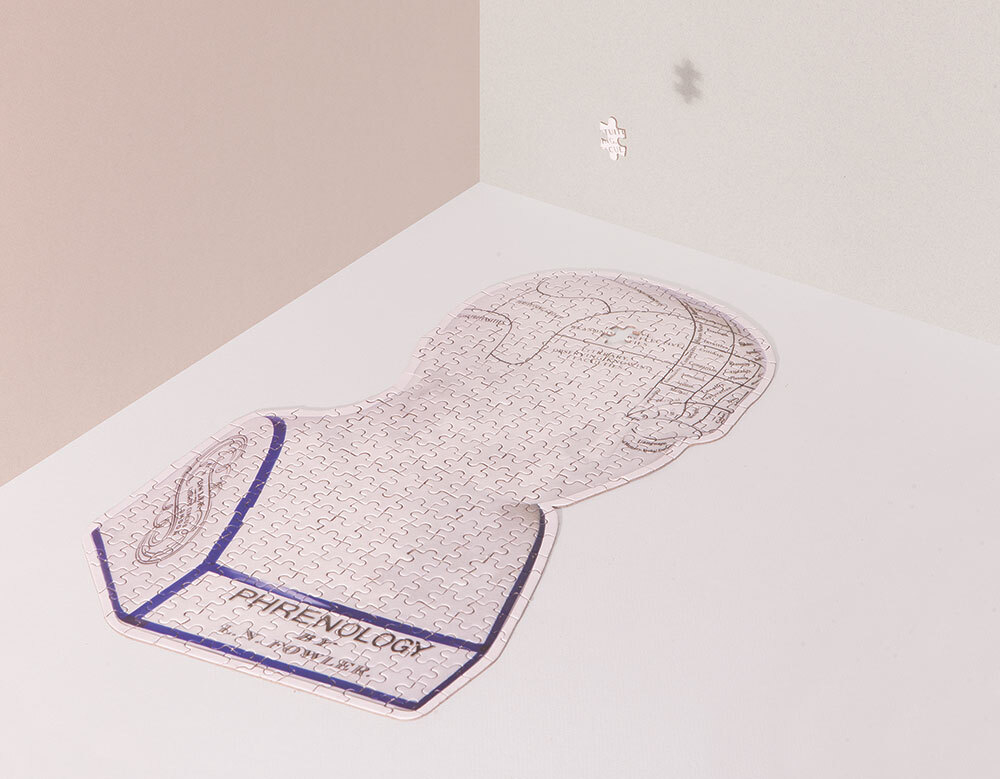 Пазл phrenology