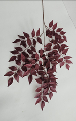 Ветка иглицы / Арт 1244