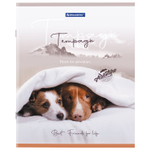Тетрадь А5 48 л. BRAUBERG скоба клетка обложка картон "Best Friends" (микс в спайке) (20 штук в упаковке)